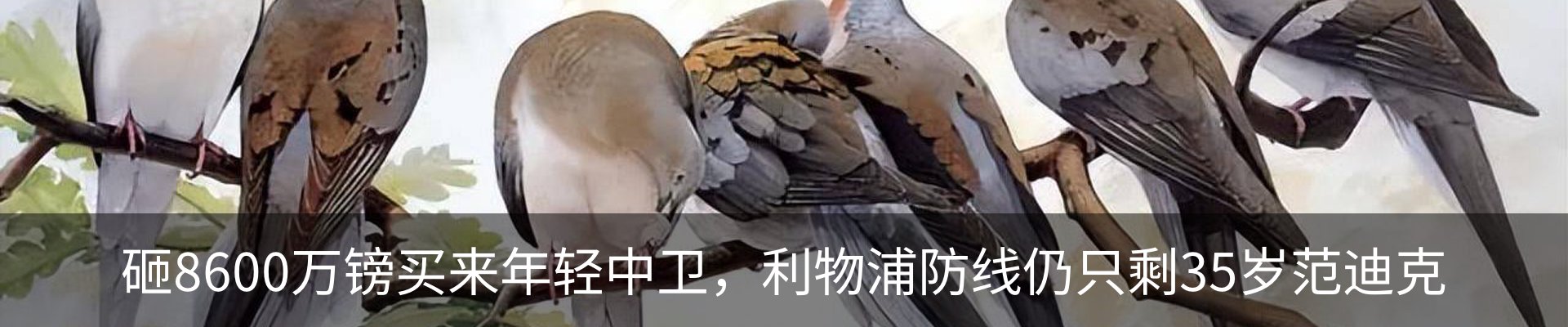 新闻中心